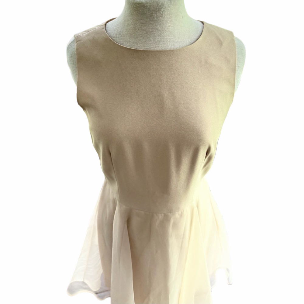 Ann Taylor Fit Flare Beige Size 10 Dress Sleeveless Formal Organza With Bow - Picture 2 of 11